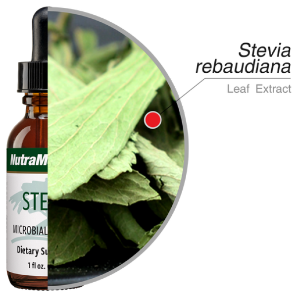 STEVIA PLANT AND PICTURE OF BOTTLE