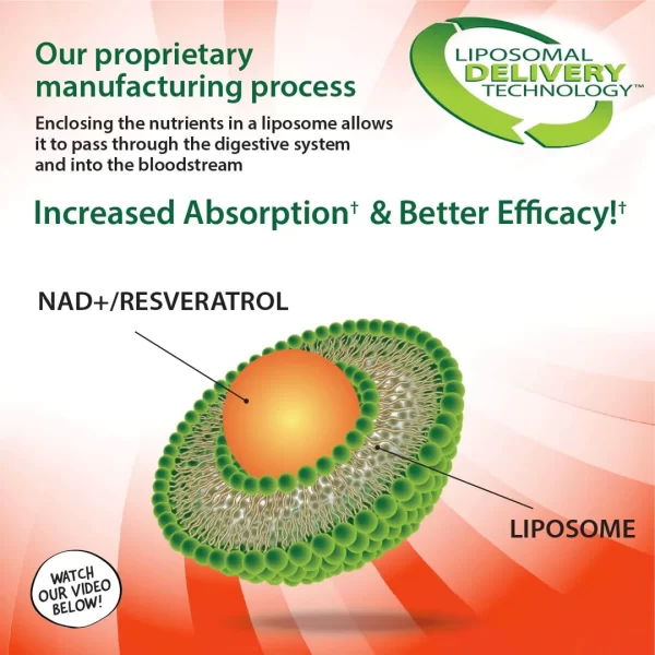 Liposomal NAD+/Resveratrol from Aurora NutraSciences - Image 2