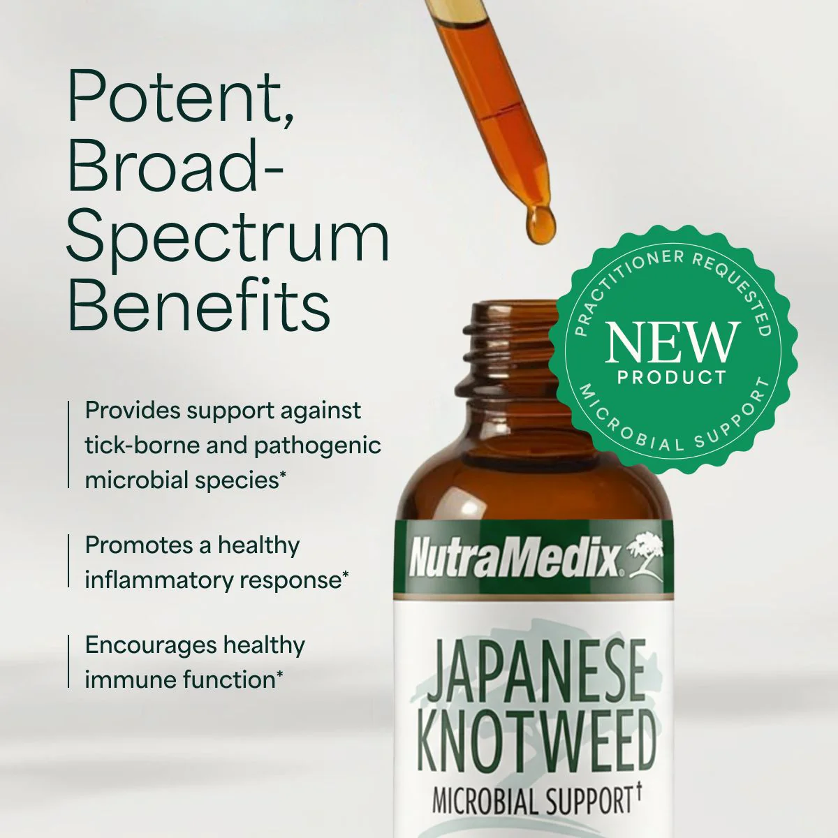 Japanese Knotweed by NutraMedix